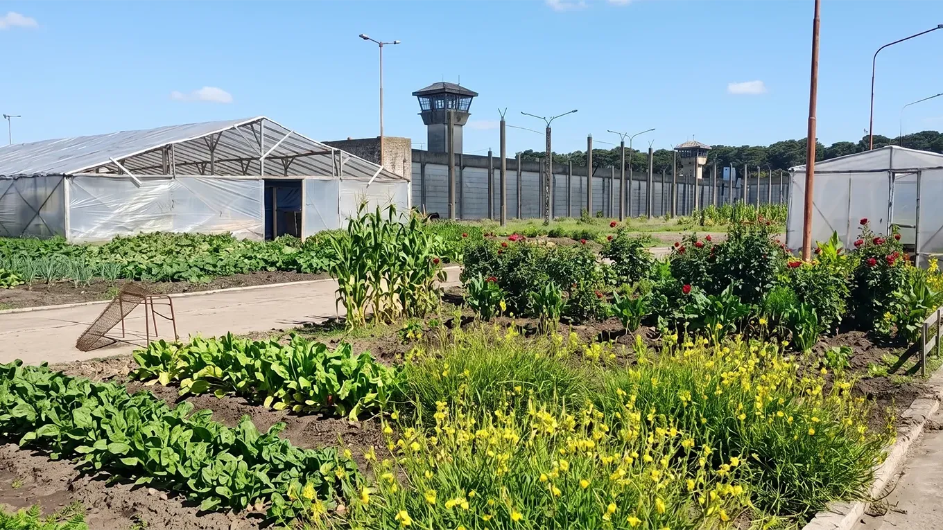 Registration is now open for the Cultivando Soberanía 2026 Diploma Program