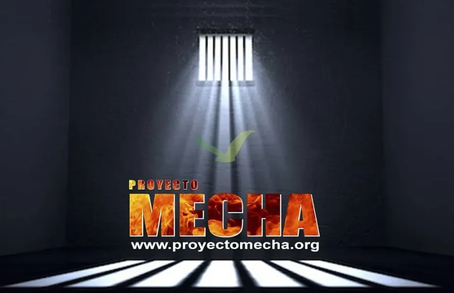 Identidad visual de Proyecto Mecha: una celda en perspectiva con una ventana enrejada de la que cae un haz de luz vertical sobre el piso; en el centro el logo PROYECTO MECHA con efecto de fuego y debajo la URL www.proyectomecha.org
