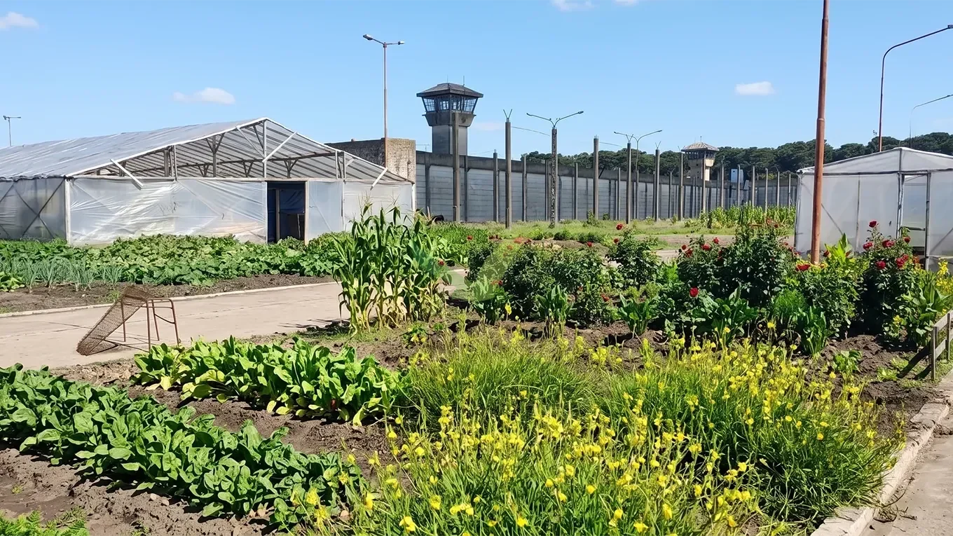Registration is now open for the Cultivando Soberanía 2026 Diploma Program